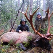 Elk hunting - Vancouver Island, BC, Canada